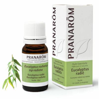 PRANAROM  Huile essentielle Eucalyptus Radi&eacute;flacon 10ml