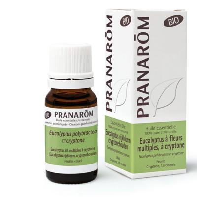 Pranar&ocirc;m Huile Essentielle Eucalyptus &agrave; Cryptone Bio 10ml