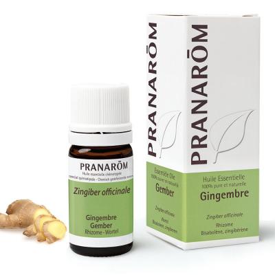PRANAROM Huile Essentielle De Gingembre 5ml Les Huiles Essentielles Pranar&ocirc;m