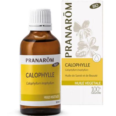 PRANAROM  Huile v&eacute;g&eacute;tale - Huile de Calophylle 50ml bio