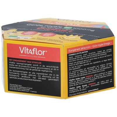 VITAFLOR &reg; Apiculte Gel&eacute;e Royale Bio 1000 mg Energie+