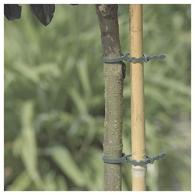 Intermas Gardening - Lien - lot de 20 - 35 cm