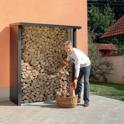 BIOHORT Abri b&ucirc;ches m&eacute;tal  WoodStock 1,8 st&egrave;res gris fonc&eacute;