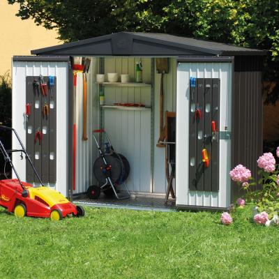 BIOHORT Abri de jardin Europa en metal - Taille 3 L244x156 cm - Gris fonce