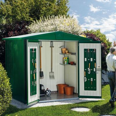 BIOHORT Abri de jardin Europa en metal - Taille 4A L316xP156 cm - Vert fonce