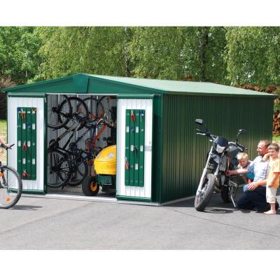 BIOHORT Abri de jardin Europa - M&eacute;tal - Vert fonc&eacute; - T7