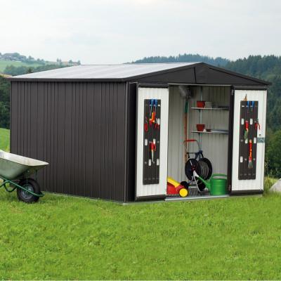 BIOHORT Abri de jardin Europa en metal - Taille 7 L316xP300 cm - Gris fonce