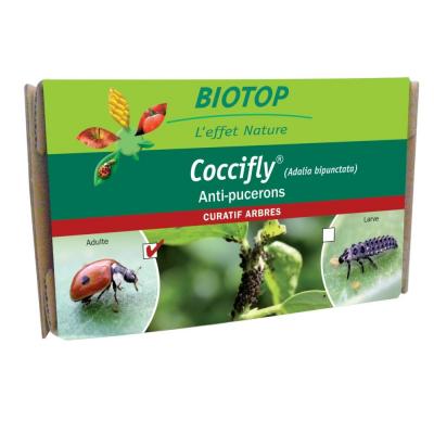 BIOTOP - 100 coccinelles adultes anti-pucerons - coccifly 