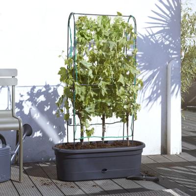 ELHO  Green Basics Jardiniere Treillis Planteur, Living Noir, 78 CM