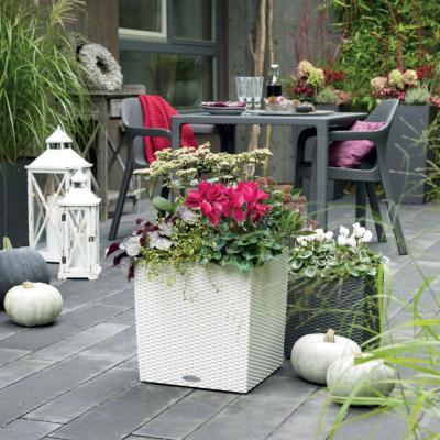 LECHUZA Cube Cottage 50 - Kit Complet, Blanc 50 Cm