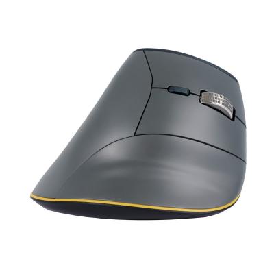 BAKKER Souris Verticale - Elkhuizen - FastForward - Ergonomique - Bluetooth - Autonomie 4 mois