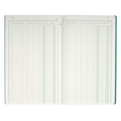 EXACOMPTA Piq&ucirc;re  Livre d'inventaire 32x19,5cm vertical 31 lignes 80p
