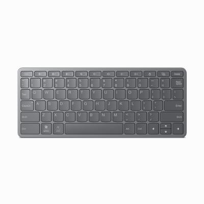 LENOVO  ZG38C05815, Avec fil &sans fil, USB + Bluetooth, Gris