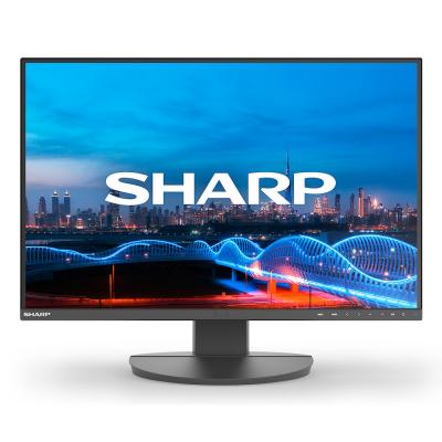 NEC DISPLAY SOLUTIONS Sharp MultiSync EA241W, 61 cm (24'), 1920 x 1200 pixels, Full HD, LCD, 5 ms, Noir 60006210