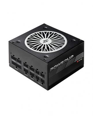 GENERIQUE Chieftronic PowerUp Series 650W - Alimentation PC - ATX12V 2.53 - 80 PLUS Gold - CA 100-240 V - 650 watt - PFC active