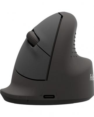 FELLOWES  100143579 souris Universel Droitier Bluetooth + USB Type-C Optique 1600 DPI