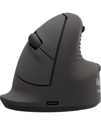 FELLOWES  100143583 souris Universel Gauche Bluetooth + USB Type-C Optique 2400 DPI