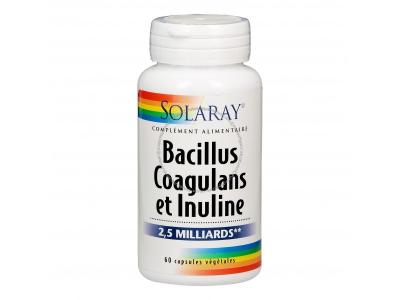SOLARAY  Bacillus Coagulans et Inuline 2,5 Milliards 60 Capsules V&eacute;g&eacute;tales - Bo&icirc;te 60 capsules