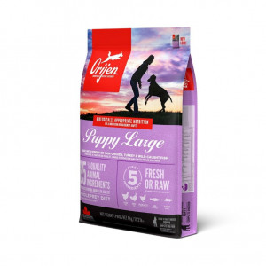 ORIJEN Croquettes Puppy Large pour Chiot -  - 6Kg