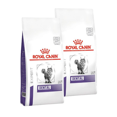 ROYAL CANIN EXPERT ROYAL CANIN Dental DSO 29 Nourriture pour Chat 3 kg