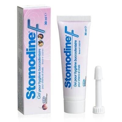 MP LABO Gel Dentaire Stomodine F Chien Et Chat