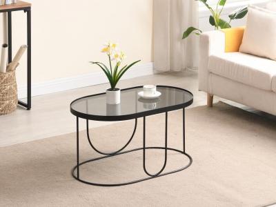 Table basse en m&eacute;tal et verre fum&eacute; - Noir et Transparent - PRETORIA