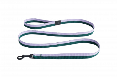 HAY  Dogs Leash men Cool Stuff green|purple en taille:ONE SIZE