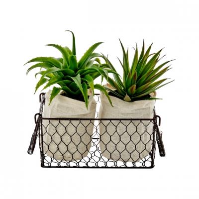 ATMOSPHERA Lot de 2 Plantes artificielles Aloe Vera dans un panier en m&eacute;tal H 21 cm