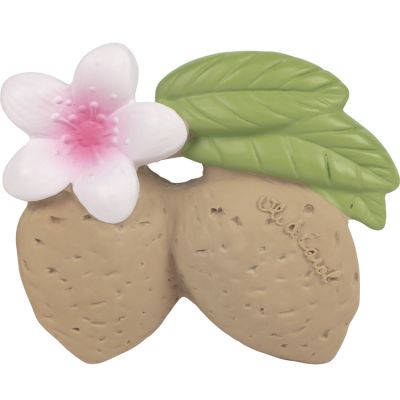  Oli & Carol - Jouet de dentition pour b&eacute;b&eacute; en caoutchouc naturel, Aly the Almond, 9 cm