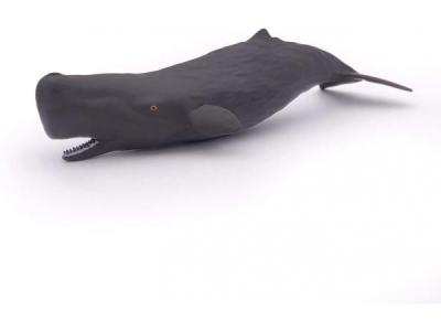 PAPO - B&eacute;b&eacute; Cachalot l'univers Marin Animal Figurine, 56045, Multicolore