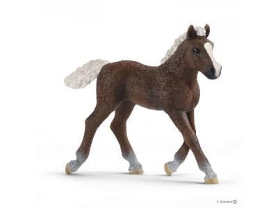 SCHLEICH  Farm World Black Forest Foal Figure Noir