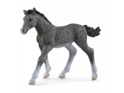 SCHLEICH  - poulain trakehnen - 13944 SCH4059433461106