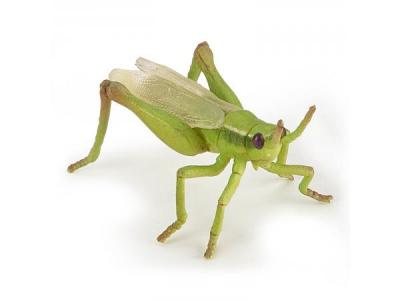 PAPO - Sauterelle LA Vie Sauvage Figurine, 50268, Multicolore