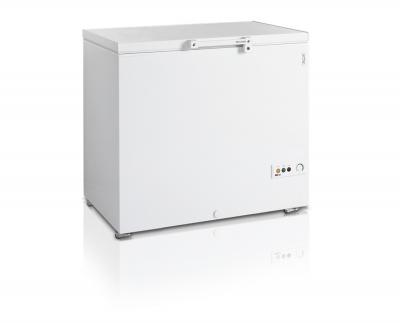 Cong&eacute;lateur Coffre FR305 TEFCOLD 