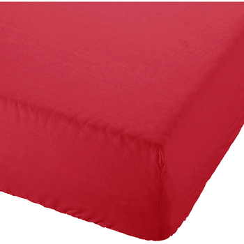 TODAY  Drap housse 100% coton - 90 x 190 cm - Pomme d'amour