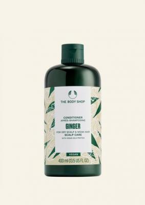  Apr&egrave;s-shampooing Soin Cuir Chevelu Gingembre 250 ML