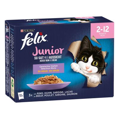 FELIX  ""Aussi bon que beau"" Junior s&eacute;lection mixte - lot % : 24 x 85 g