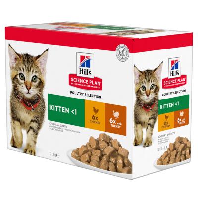 HILL S SCIENCE PLAN Hill's Feline Kitten - volaille (12 x 85 g)