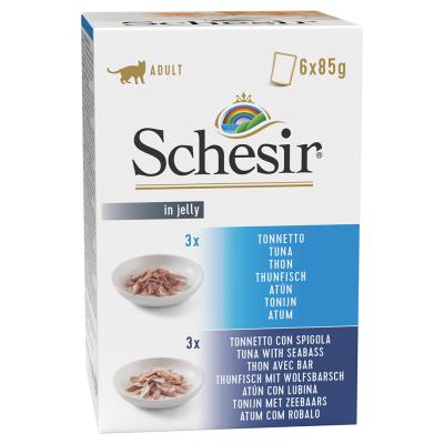 SCHESIR  Adult thon & thon avec loup de mer 6 x 85 g