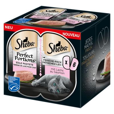SHEBA  Perfect Portions 48 x 37,5 g - Terrine de luxe - saumon