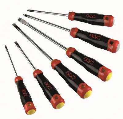 SAM Jeu de 6 tournevis S1 Fente et Phillips&reg;  Outillage T-J1Z