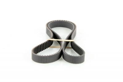 CONTITECH Courroie de distribution  CT1106 (X1)