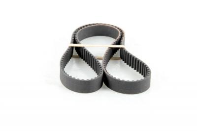 CONTITECH Courroie de distribution  CT805 (X1)