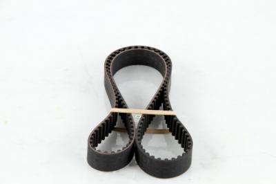 CONTITECH Courroie de distribution  CT955 (X1)