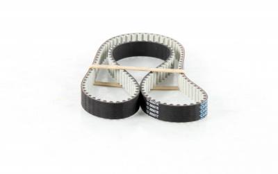 DAYCO Courroie de distribution  941013 (X1)