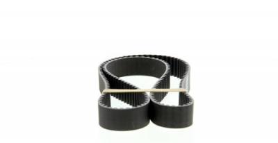 DAYCO Courroie de distribution  94167 (X1)