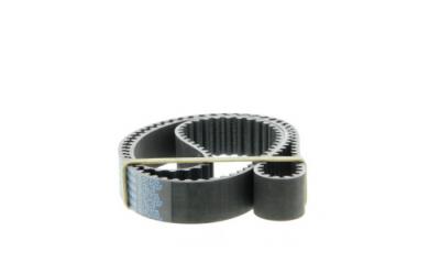 DAYCO  Courroie de distribution 94906 MG MG