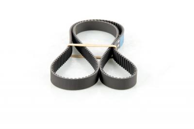 DAYCO Courroie de distribution  94958 (X1)