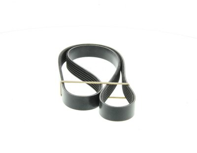 DAYCO Courroie trap&eacute;zo&iuml;dale &agrave; nervures  6PK1095