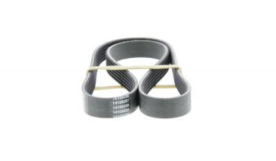 DAYCO Courroie trap&eacute;zo&iuml;dale &agrave; nervures  6PK1130